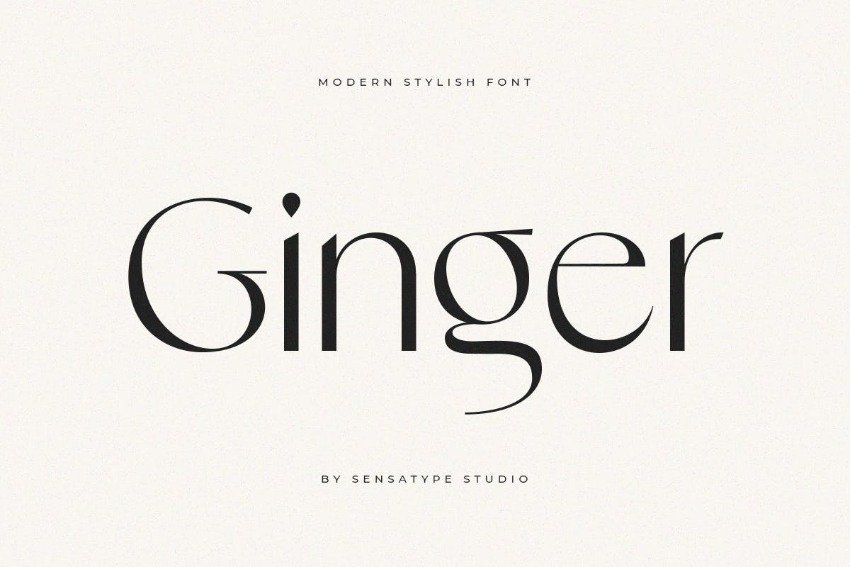 Trending Web Fonts and Typefaces